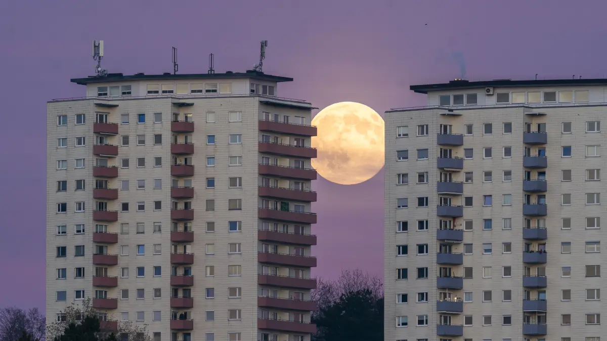 Ein kleiner Augenblick im Leben eines kleinen Lokalfotografen Supermond 2025