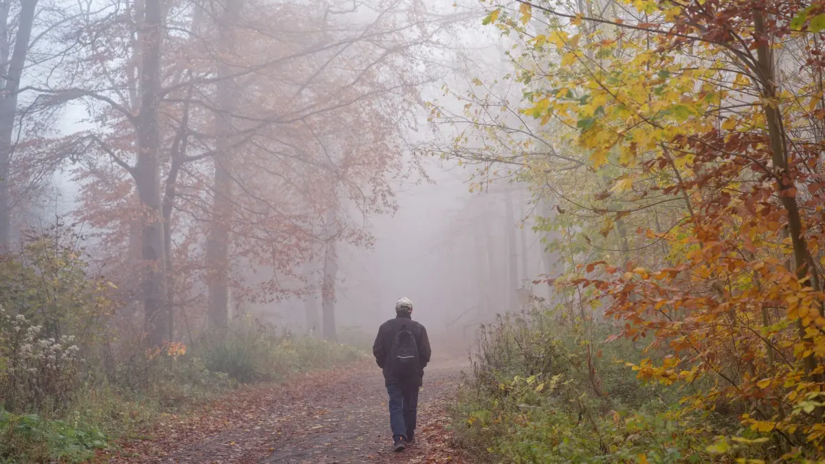 Wetter in Baden-Württemberg: 07.11.2025, Baden-Württemberg, Heidelberg: Ein Mann geht auf dem Königstuhl im Nebel über einen Waldweg. Foto: Uwe Anspach/dpa +++ dpa-Bildfunk +++
