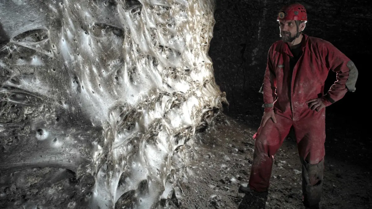 Griechenland: Spinnennetz in Höhle entdeckt