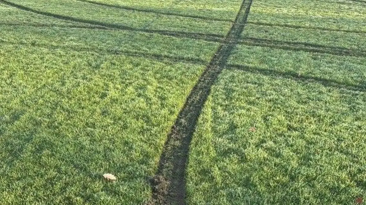 Zerstörter Rasen Sportplatz Belsen