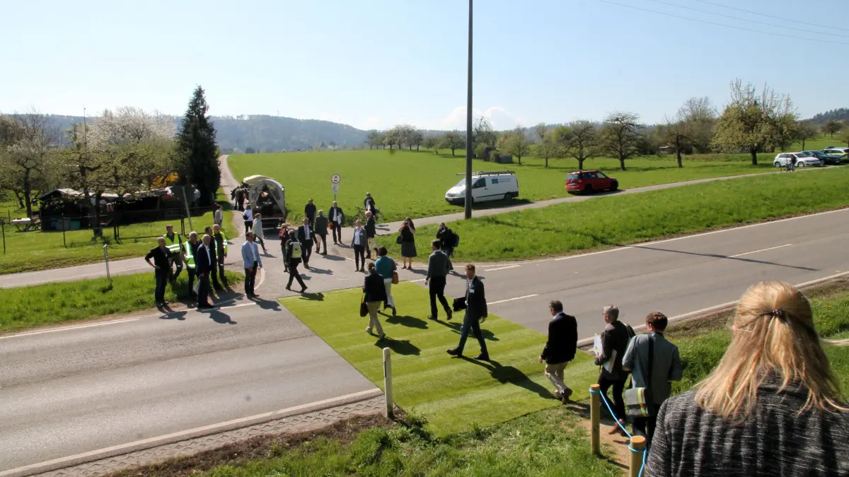 (ohne Überschrift): Vorsicht: Dieses Foto ist möglicherweise nur für den einstigen Verlag Schwäbisches Tagblatt verwendbar. Fachkommission für Landesgartenschau besucht Rottenburg: auf dem grünen Teppich über die Osttangente. Bild: Eisele Fachkommission für Landesgartenschau besucht Rottenburg: Rückepferd-Vorführung mit Bubi und Pferdeführer Herr Notheiß. Bild: Eisele