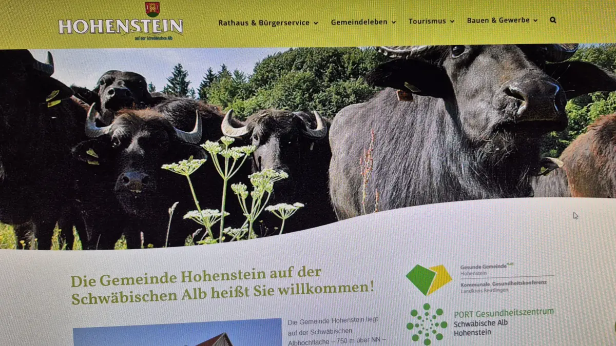 Die Homepage der Gemeinde Hohenstein soll erneuert und damit komplett barrierefrei, funktionaler und bürgernäher werden.