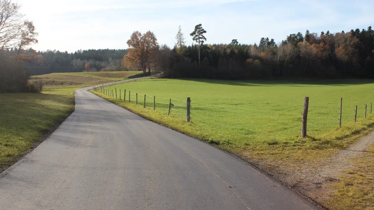 Acht Zentimeter Bitumen waren in der Höhe nötig, um den Weg mit all seinen Schlaglöchern und Rissen zu sanieren.