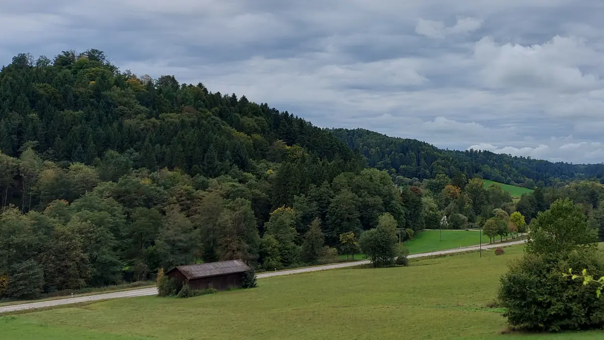 Wald im Limpurger Land