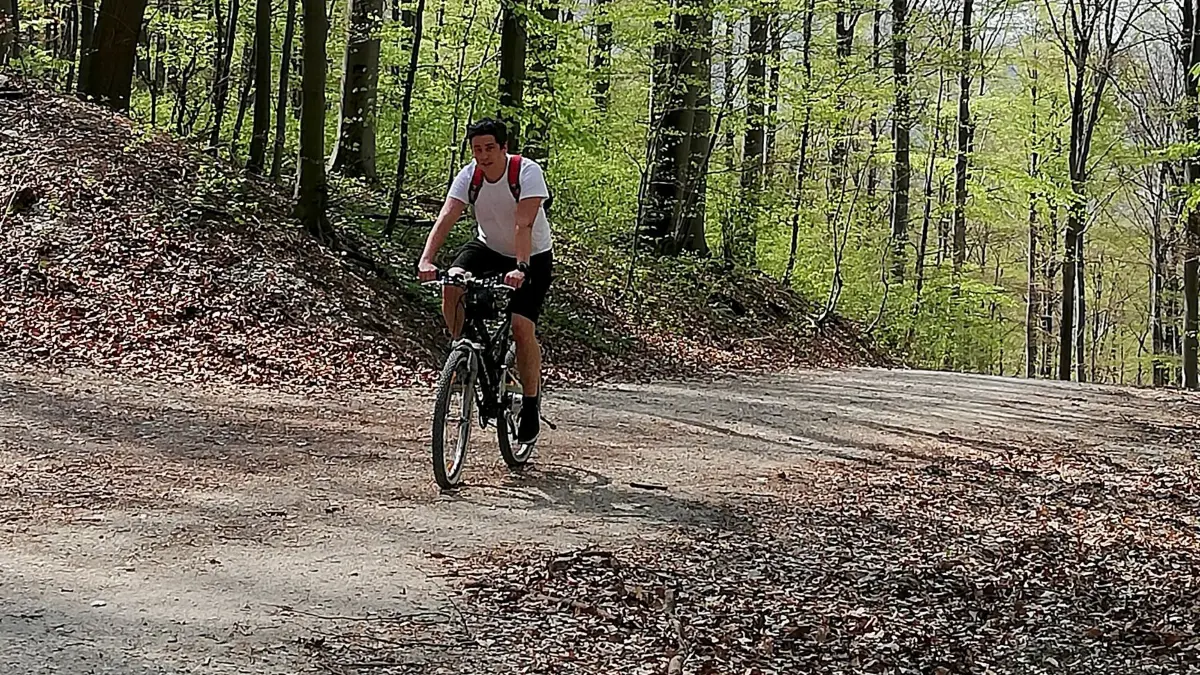 Der Dettinger Wald bleibt ein gefragter Naturraum: Viele Radfahrer sind dort unterwegs, allerdings muss die Gemeinde Dettingen nicht mehr für Verkehrssicherheit auf der Promille sorgen.⇥Foto: Archiv