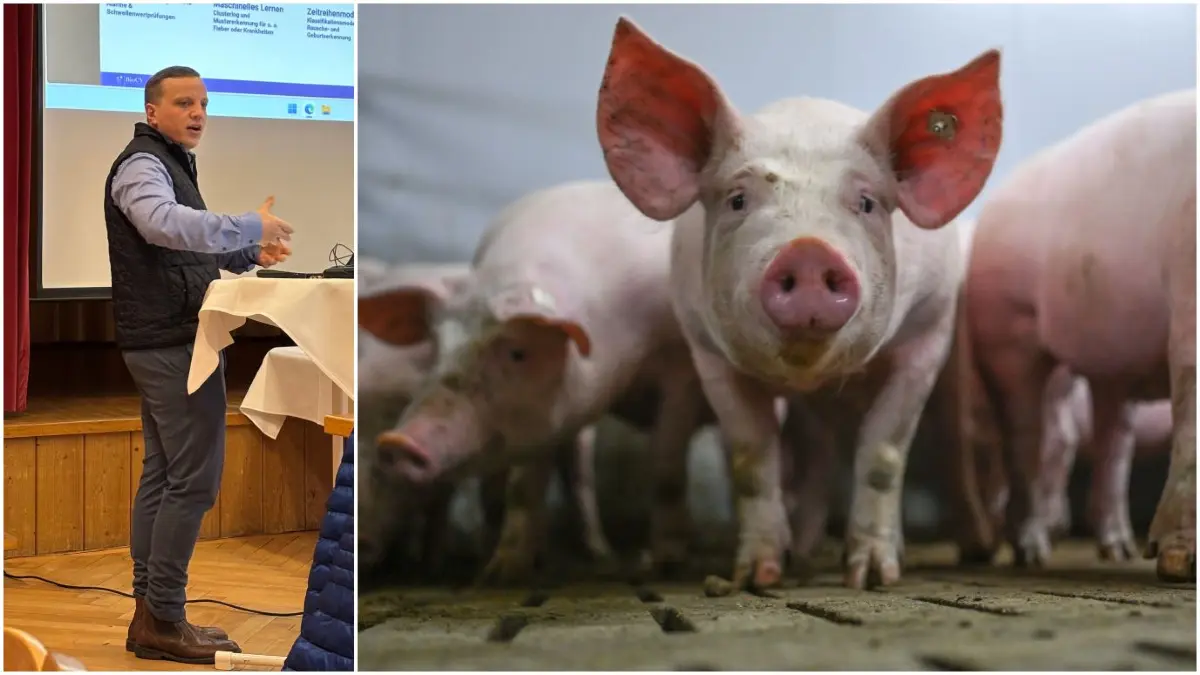 Moritz Gansel erklärt, wie KI im Schweinestall eingesetzt werden kann.