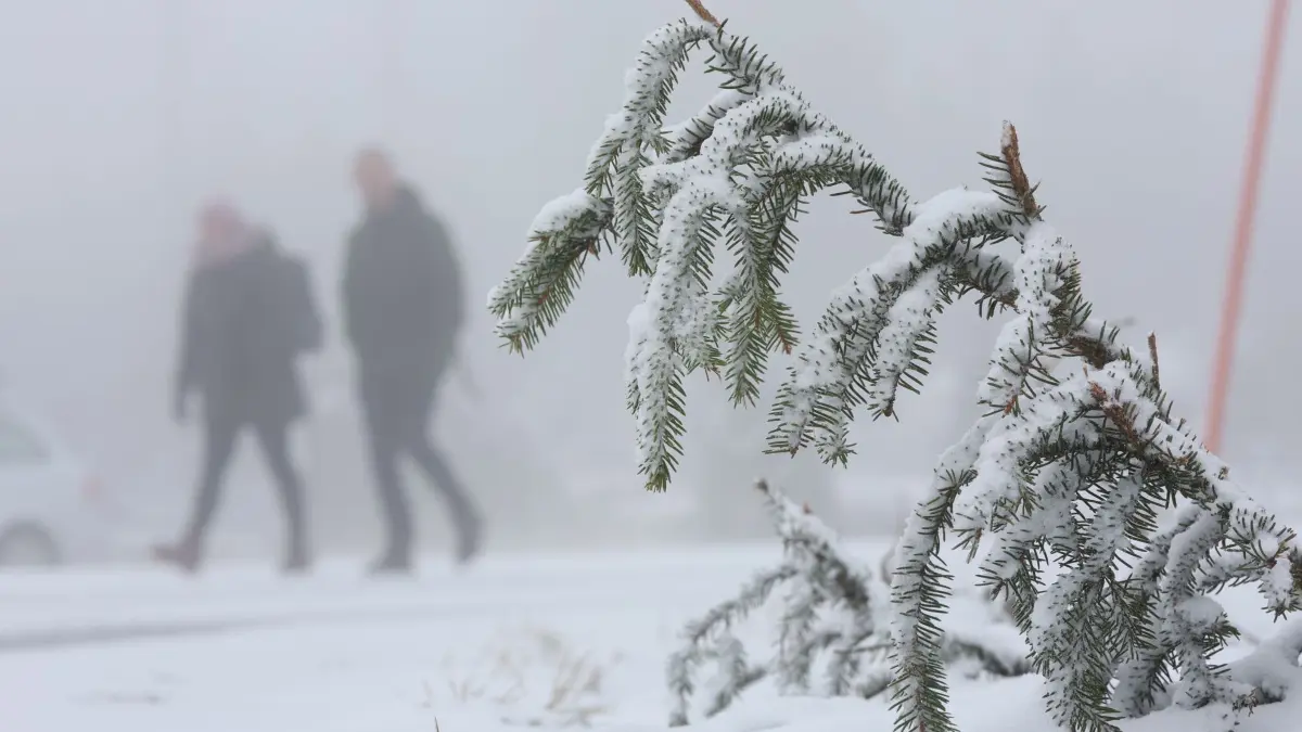 Wintereinbruch im Harz: 18.11.2025, Sachsen-Anhalt, Brocken: Wanderer gehen auf der Brockenstraße durch eine winterliche Landschaft. In den höheren Lagen des Harzes ist es winterlich geworden. Foto: Matthias Bein/dpa +++ dpa-Bildfunk +++