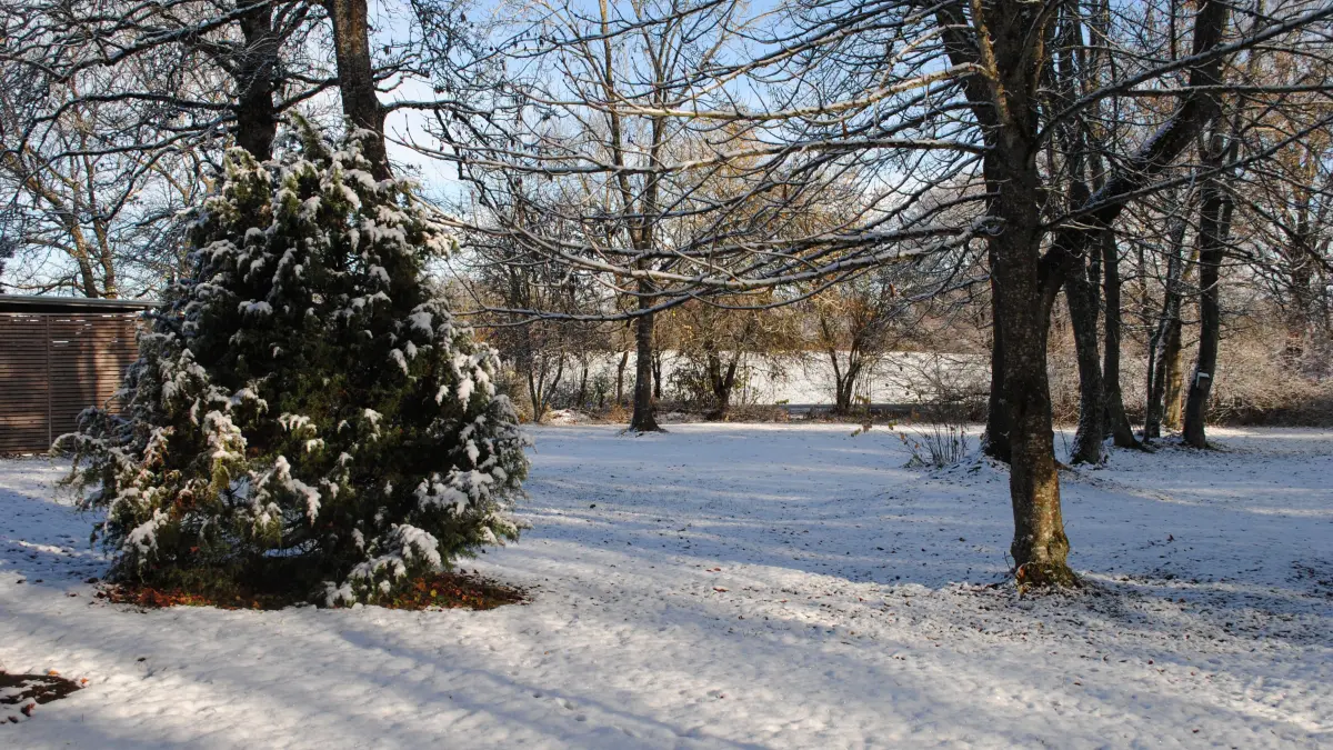 Erster Schnee in Laichingen.
