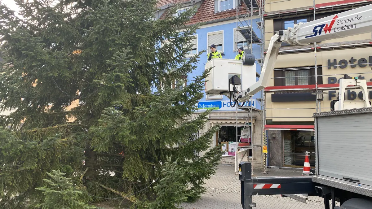 Der Weihnachtsbaum auf dem Crailsheimer Marktplatz, der gestern unter Zuhilfenahme eines Krans geschmückt wurde, stammt aus dem Stadtwald. Er misst stolze 20 Meter.