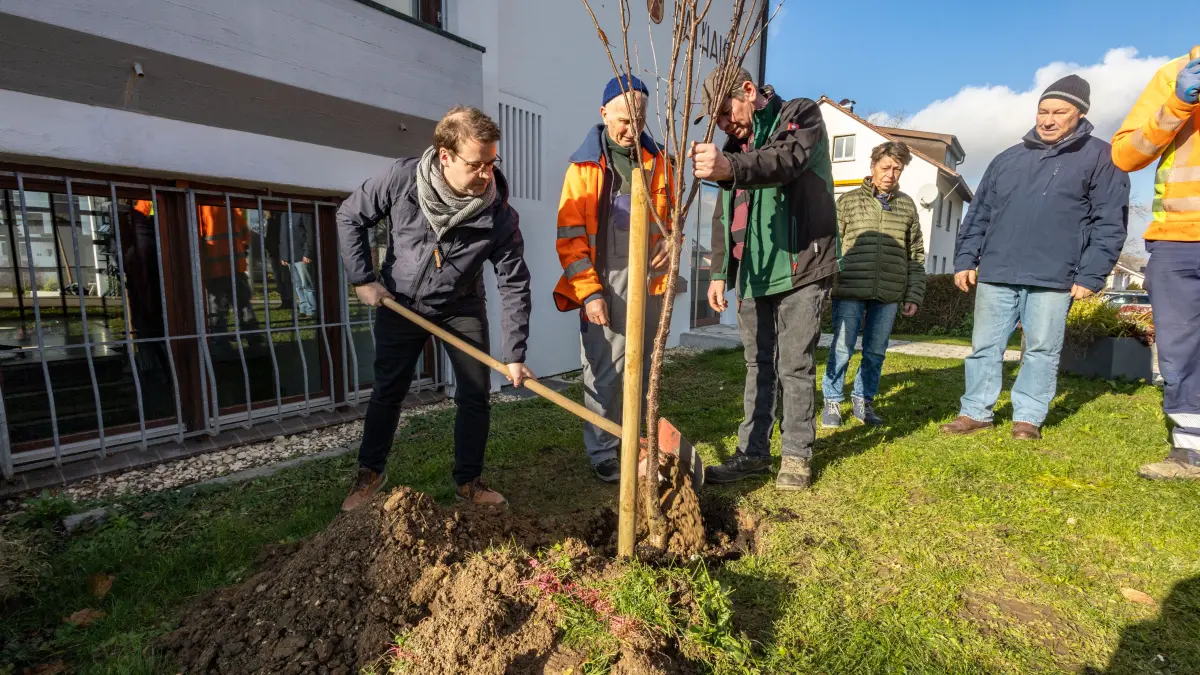 Gammelshausen Baumpflanzung Wette Gemeinde Obst und Gartenbauverein