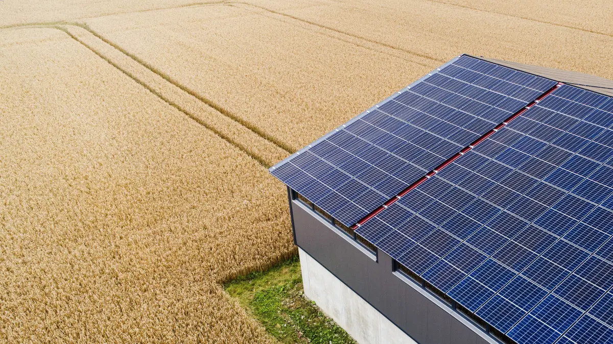 Der SWU RegionalStrom stammt vor allem aus regionalen Photovoltaik-, Wasserkraft- und Biogasanlagen von lokalen Unternehmen und landwirtschaftlichen Betrieben.