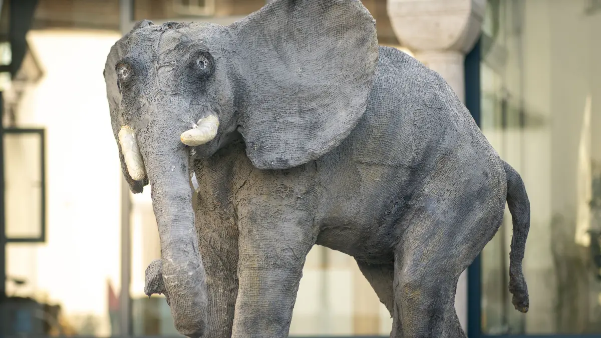 Aktion 100 000 Abt Elefant