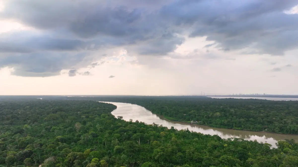 Weltklimakonferenz COP30: 18.11.2025, Brasilien, Itacoa Miri: Bäume umgeben den Fluss Guama in Itacoa Miri. Foto: Fernando Llano/AP/dpa +++ dpa-Bildfunk +++