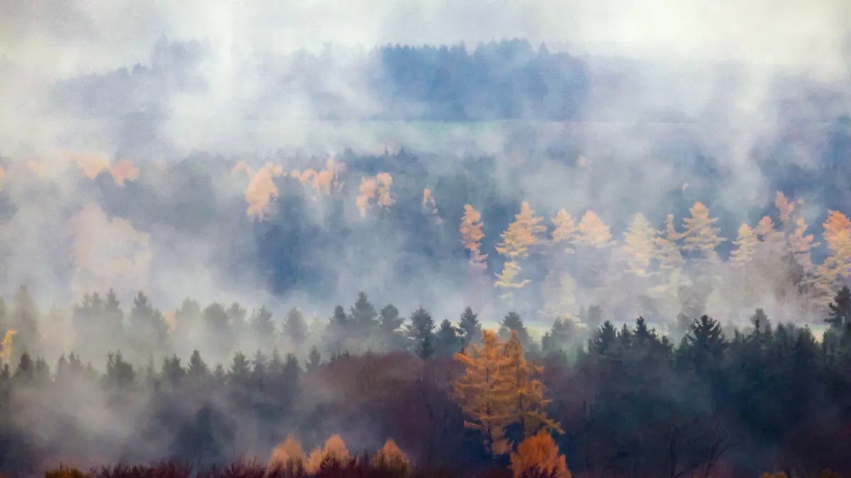 Wetter in Baden-Württemberg