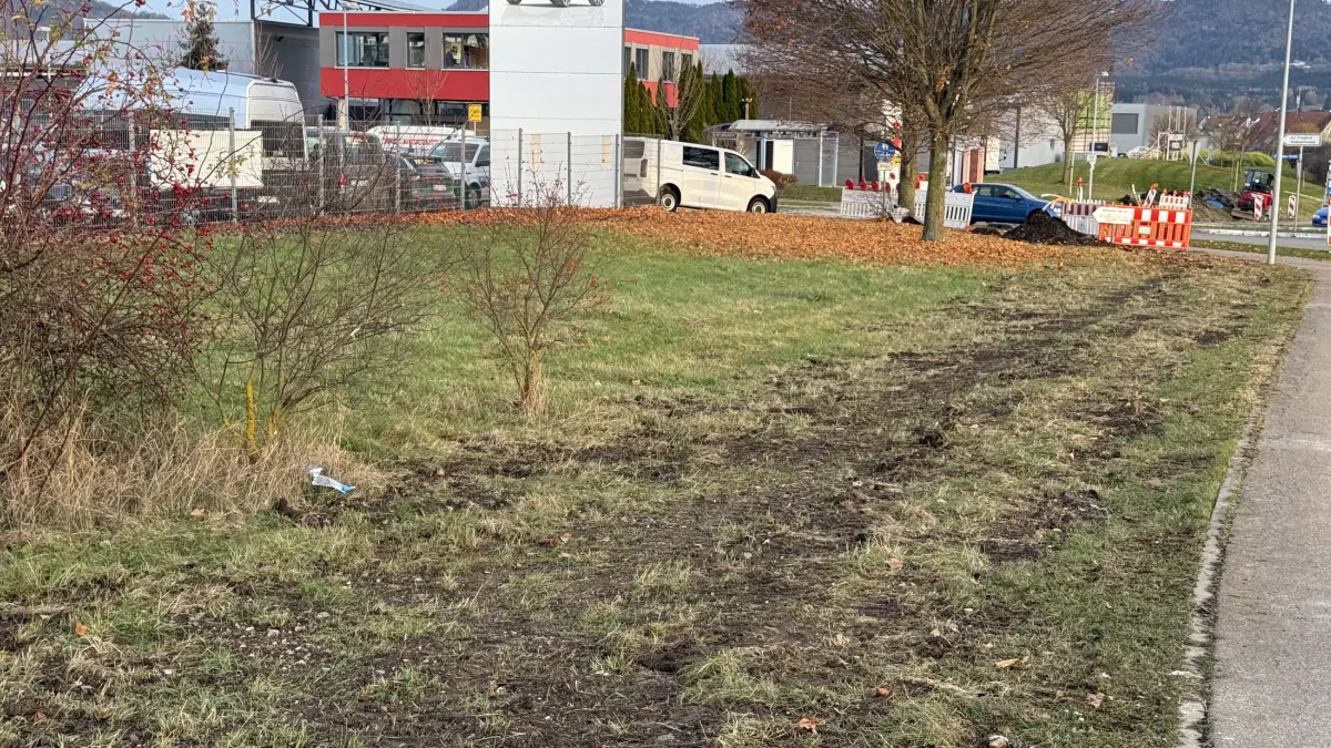 Die Gemeinde will den Teil eines Grünstreifens verkaufen, sodass Bauprojekte nachträglich genehmigt werden können.