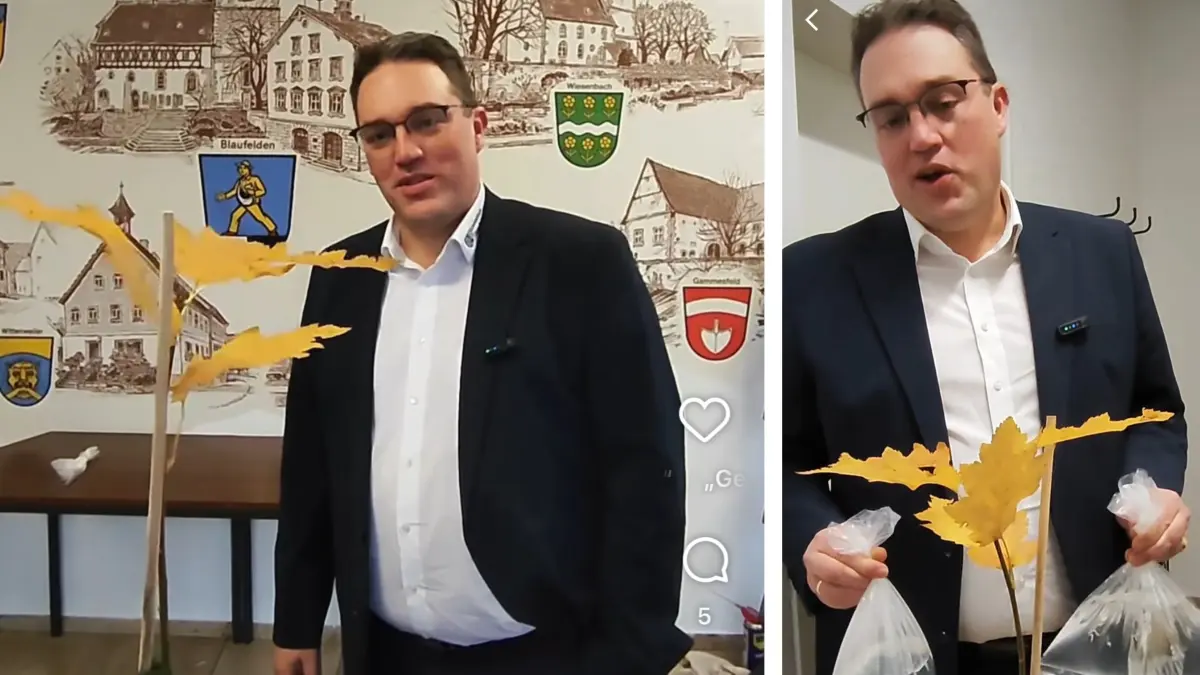 Baumpflanz-Challenge Blaufelden, Bürgermeister Michael Dieterich, Ahornbaum, Rathaus, Instagram, Reel, Video