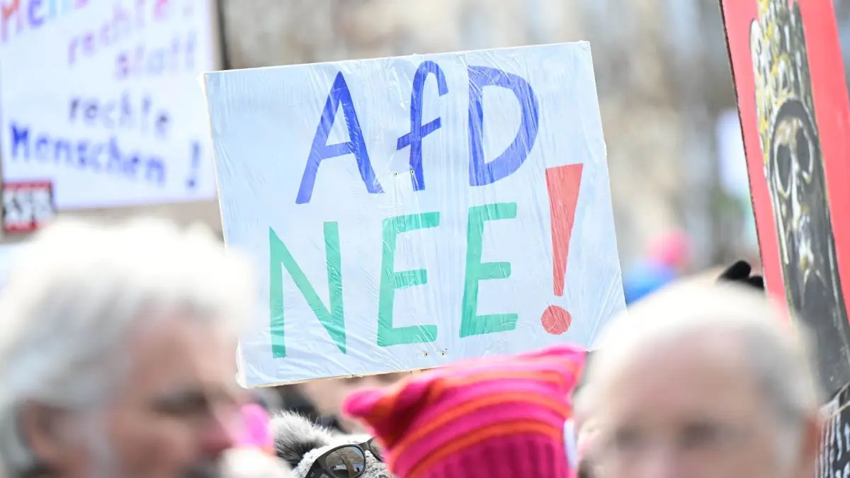 AfD-Landesparteitag - Demonstration