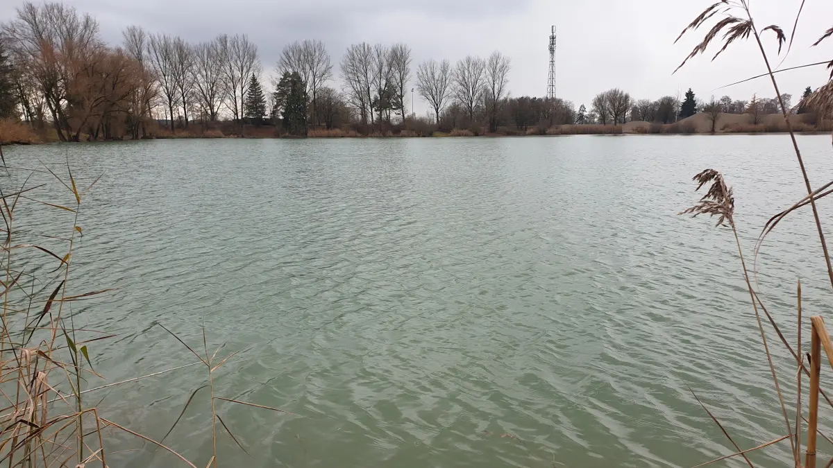 Am Rißtissener Baggersee wurden tote Wildgänse gefunden. Bei einem der Tiere ist das Vogelgrippevirus nachgewiesen worden.