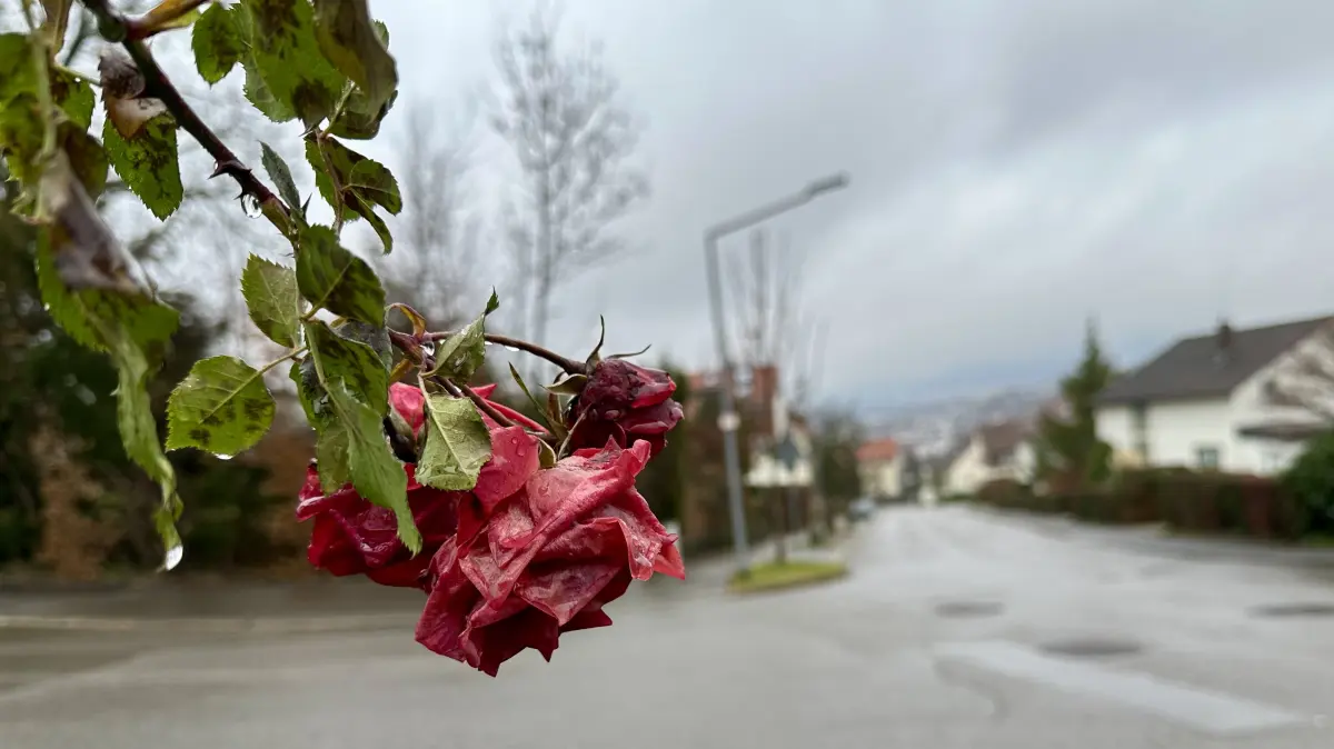 Griesstraße Pfullingen Familientragödie im Kreis Reutlingen Mann tötet seine Schwester, seine Ehefrau und zwei Söhne, bevor er sich selbst umbringt.