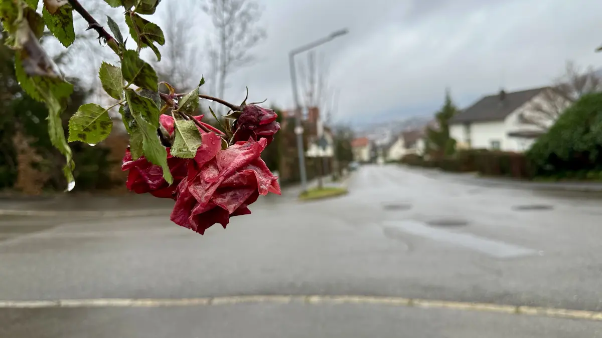 Griesstraße Pfullingen Familientragödie im Kreis Reutlingen Mann tötet seine Schwester, seine Ehefrau und zwei Söhne, bevor er sich selbst umbringt.