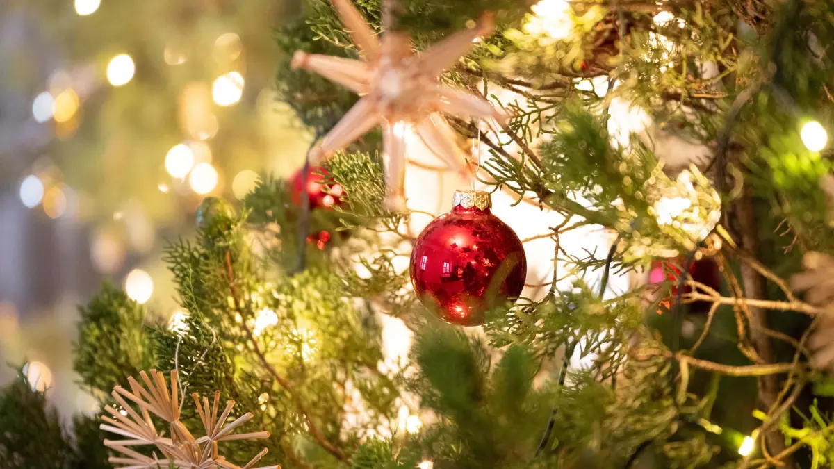 Weihnachtsbaum: 26.11.2025, Sachsen, Pirna: Ein Weihnachtsbaum ist mit Strohsternen und Weihnachtskugeln geschmückt. (zu dpa: «Das haben hessische Städte in der Adventszeit zu bieten») Foto: Sebastian Kahnert/dpa +++ dpa-Bildfunk +++