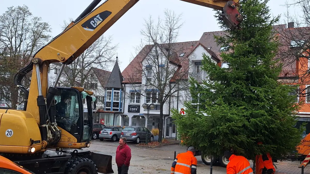 Mitarbeiter des Bauhofs stellen den Weihnachtsbaum vor der Stadtbibliothek in Laichingen auf.