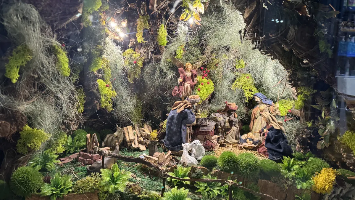 Weihnachtskrippe in der Apotheke, Kirchentellinsfurter Krippenweg