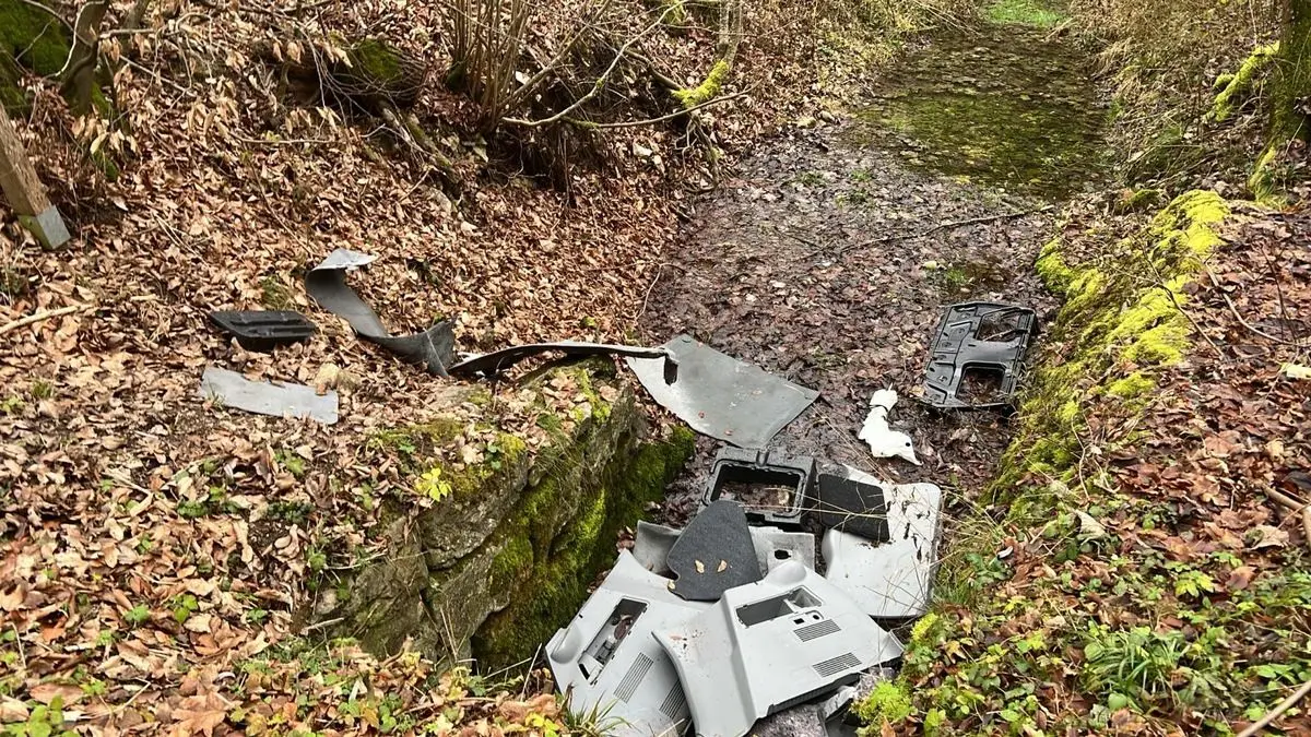 Autoteile im Roggental
