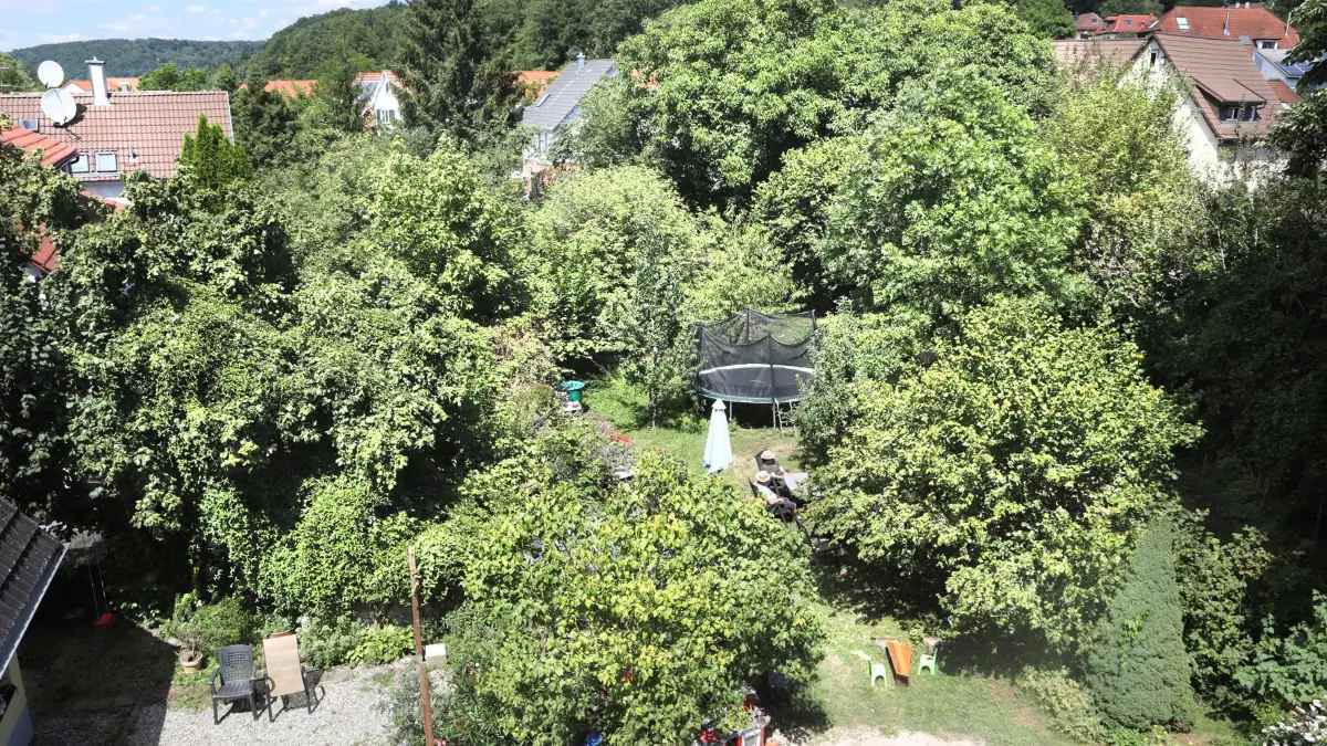 Grüne Oase in Wannweil: Vorsicht: Dieses Foto ist möglicherweise nur für den einstigen Verlag Schwäbisches Tagblatt verwendbar. Grüne Oase in Wannweil soll bebaut werden 5. Aug. 2020
Copyright : Anne Faden Bankverbindung : KSK Tübingen BLZ 641 500 20 Konto : 134 983
photo@annefaden.de