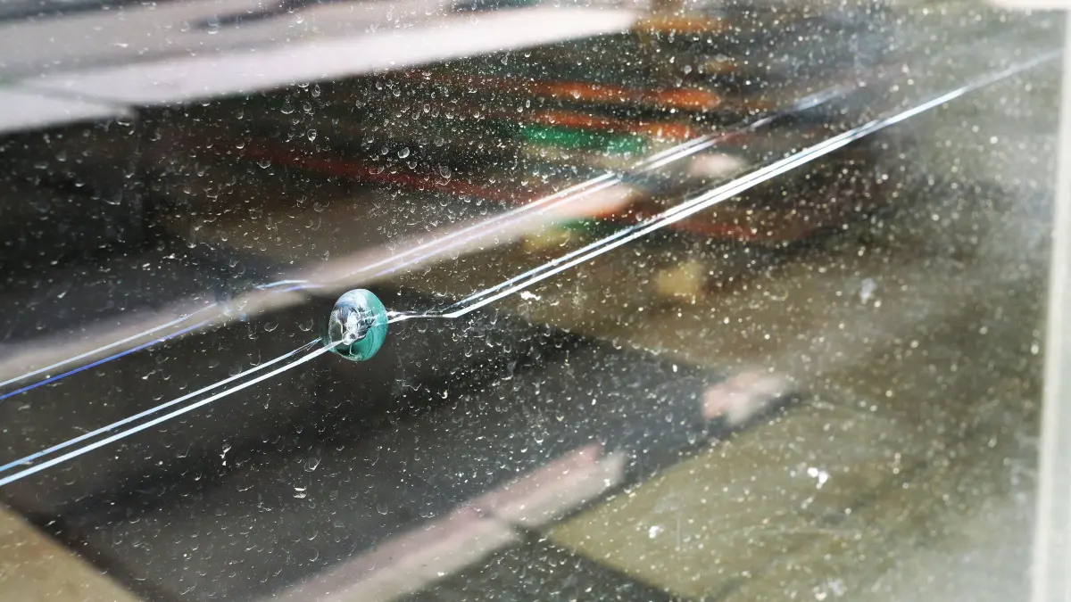 So kann es dann enden, wenn Schüler Probleme machen: An der Grundschule in Hartheim werden immer wieder Glasscheiben zerstört, weil Kinder mit den dortigen Kieselsteinen dagegen kicken.