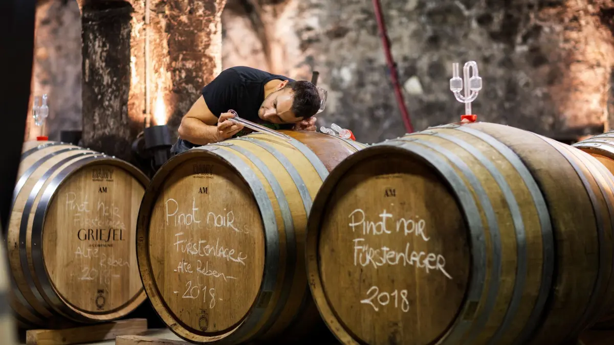 Sektgärung im Weingut
