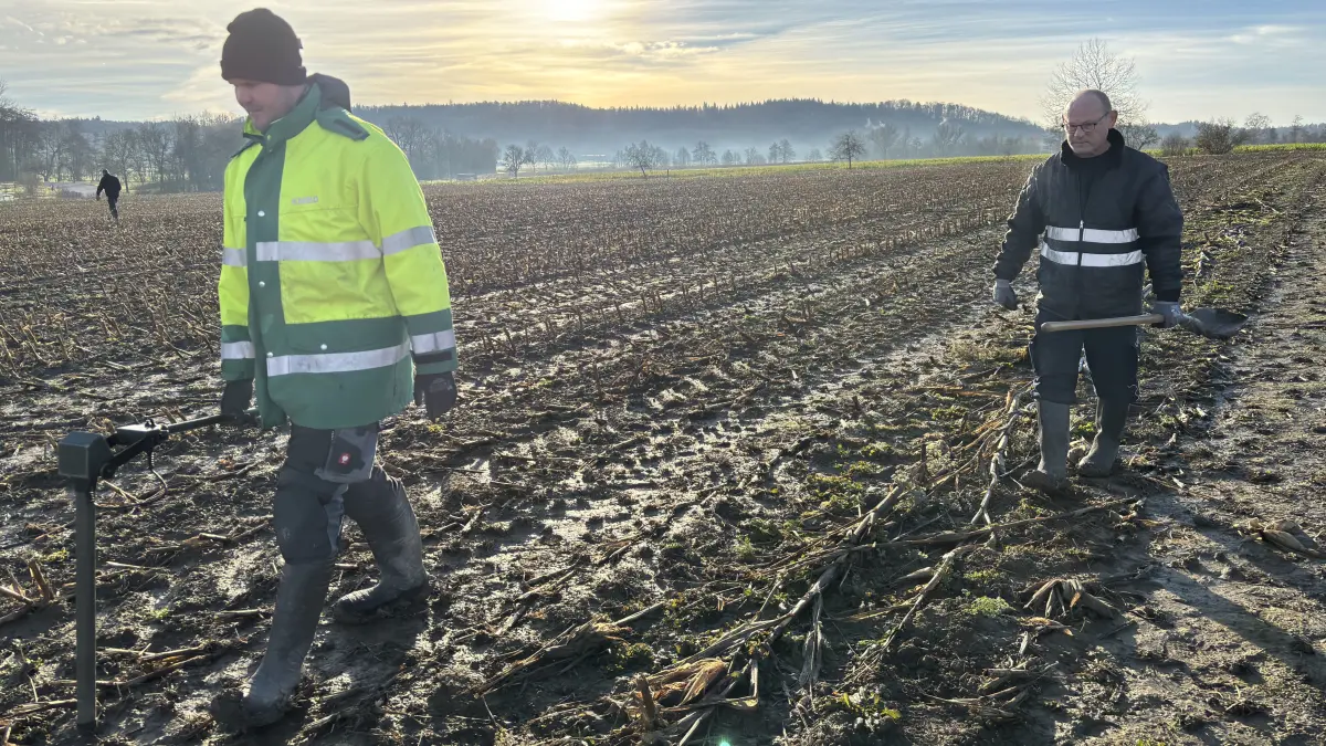 Die Kampfmittelräumer laufen die Flächen ab, auf denen später gebaut werden soll.