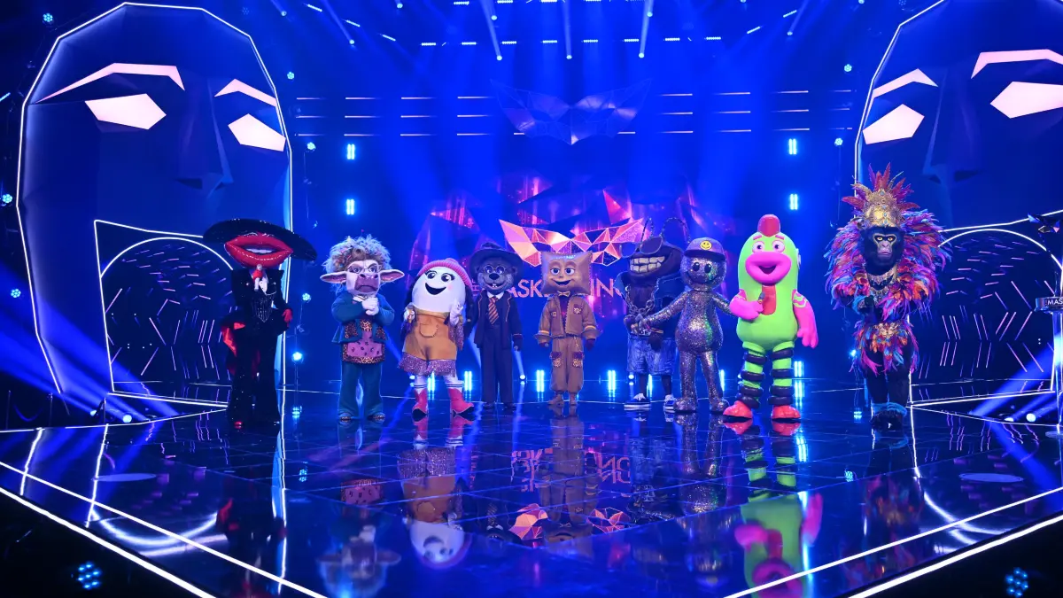 Nach und nach wurden die Undercover-Stars bei „The Masked Singer“ enthüllt.