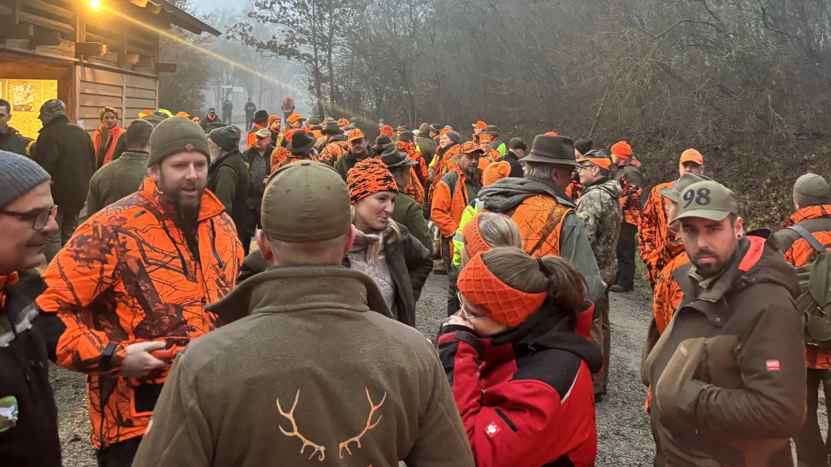 Rund 100 Jäger und Jägerinnen treffen sich am Sonntagfrüh vor der Streifleswaldhütte am Haller Waldfriedhof zur Drückjagd.