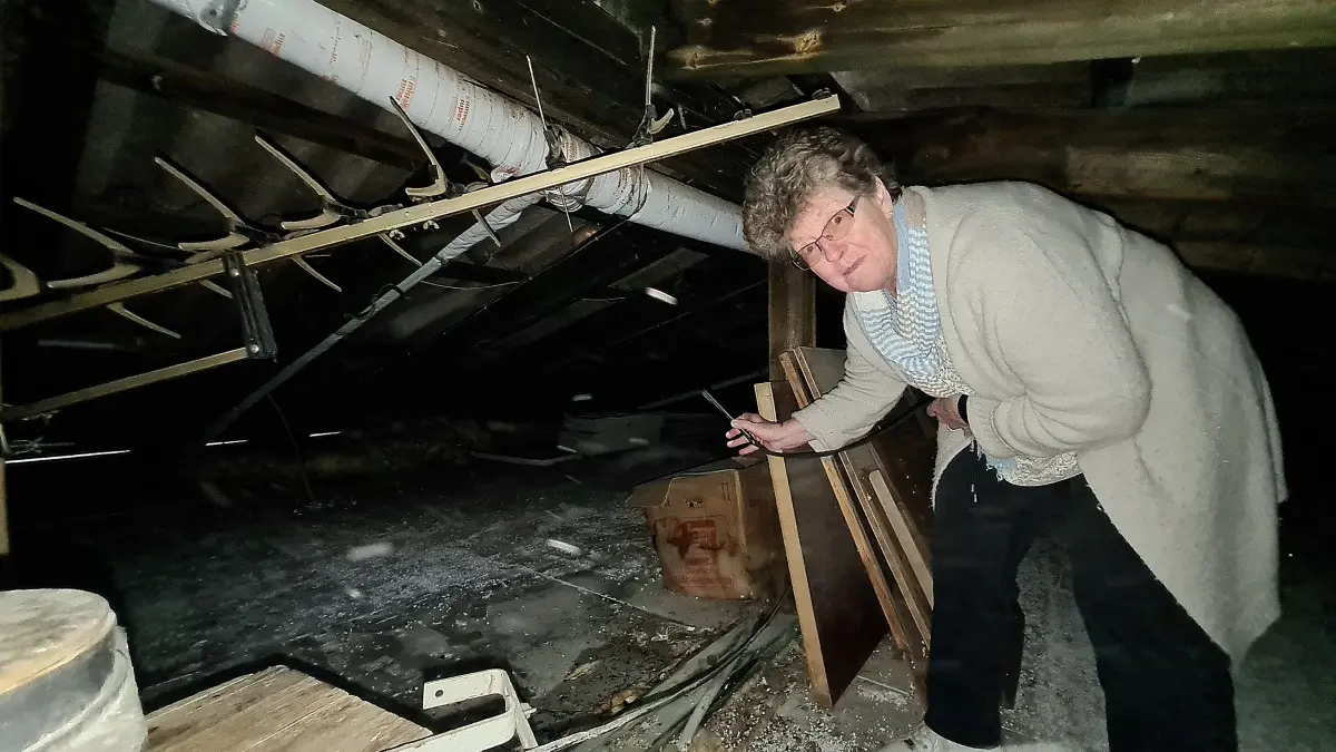 Anne Kreim sucht den Dachboden des Tierheims nach nassen Stellen ab.