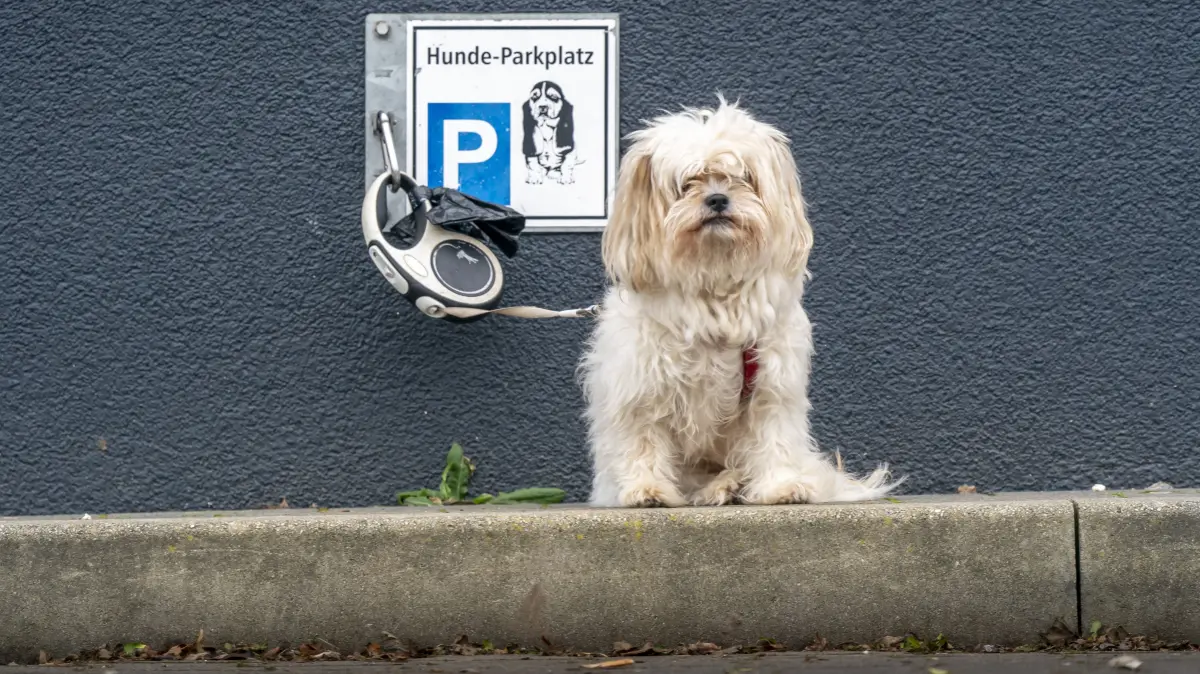 Ein kleiner Augenblick im Leben eines kleinen Lokalfotografen