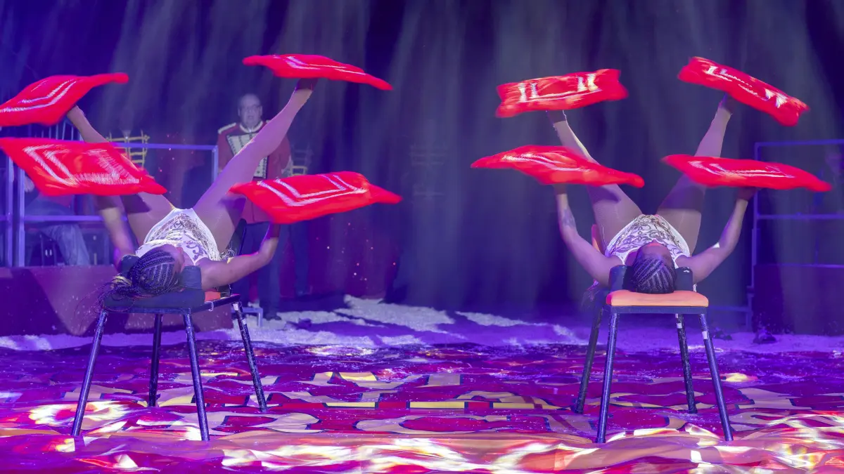 Ulmer Weihnachtscircus