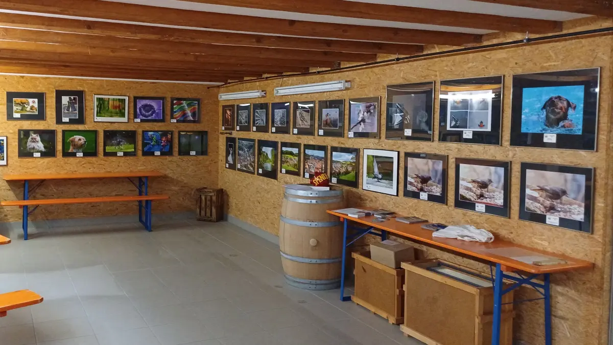 Die Fotogilde Tailfingen hat ein aktives Vereinsleben und zeigt ihre Fotokunst in Ausstellungen.