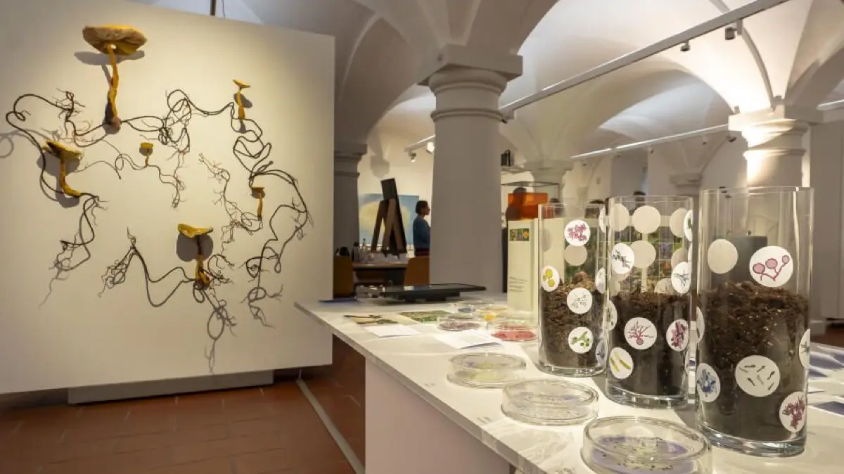 Museum Brot und Kunst bietet die Sonderausstellung "Winzige Giganten. Die Macht der Mikroorganismen".
