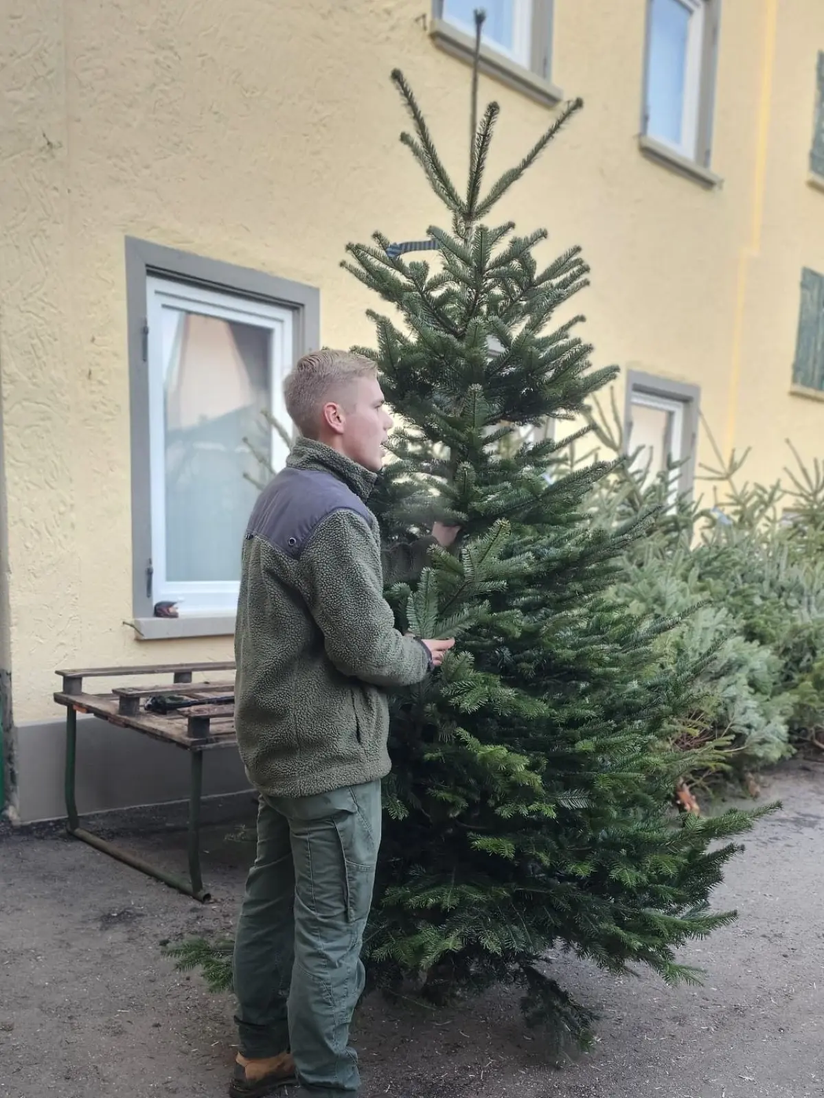 Die ganze Familie hilft mit: Sohn Sebastian Schlegel ist gerade im Verkaufsgespräch. Ob den Kunden der Baum wohl gefällt?