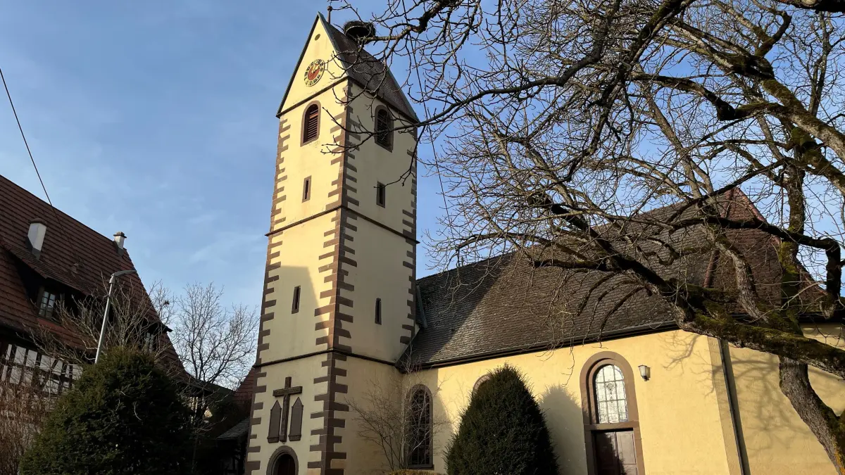 Tagsüber ist das Storchennest auf dem Mühlheimer Kirchturm leer. Am Abend aber kehren die Tiere zurück.