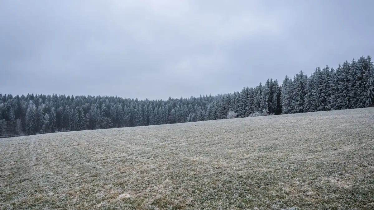 Wetter in Baden-Württemberg: 24.12.2025, Baden-Württemberg, Böttingen: Verschneite Tannen stehen in einem Waldstück bei Böttingen (Landkreis Tuttlingen). Foto: Silas Stein/dpa +++ dpa-Bildfunk +++