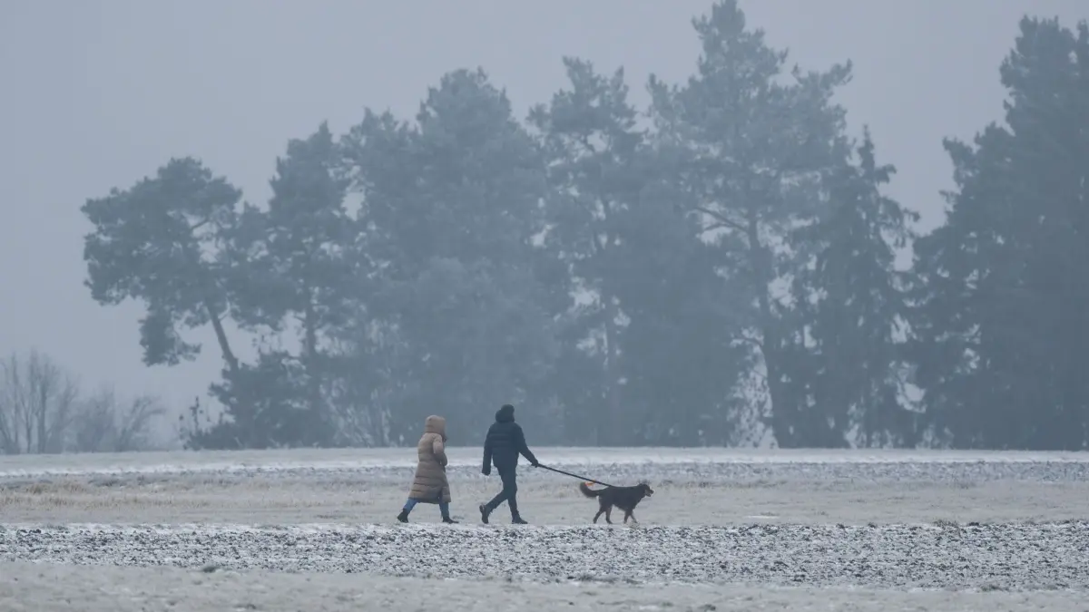 Wetter in Baden-Württemberg: 28.12.2025, Baden-Württemberg, Rottweil: Ein Mann und eine Frau gehen mit einem Hund spazieren. Foto: Silas Stein/dpa +++ dpa-Bildfunk +++