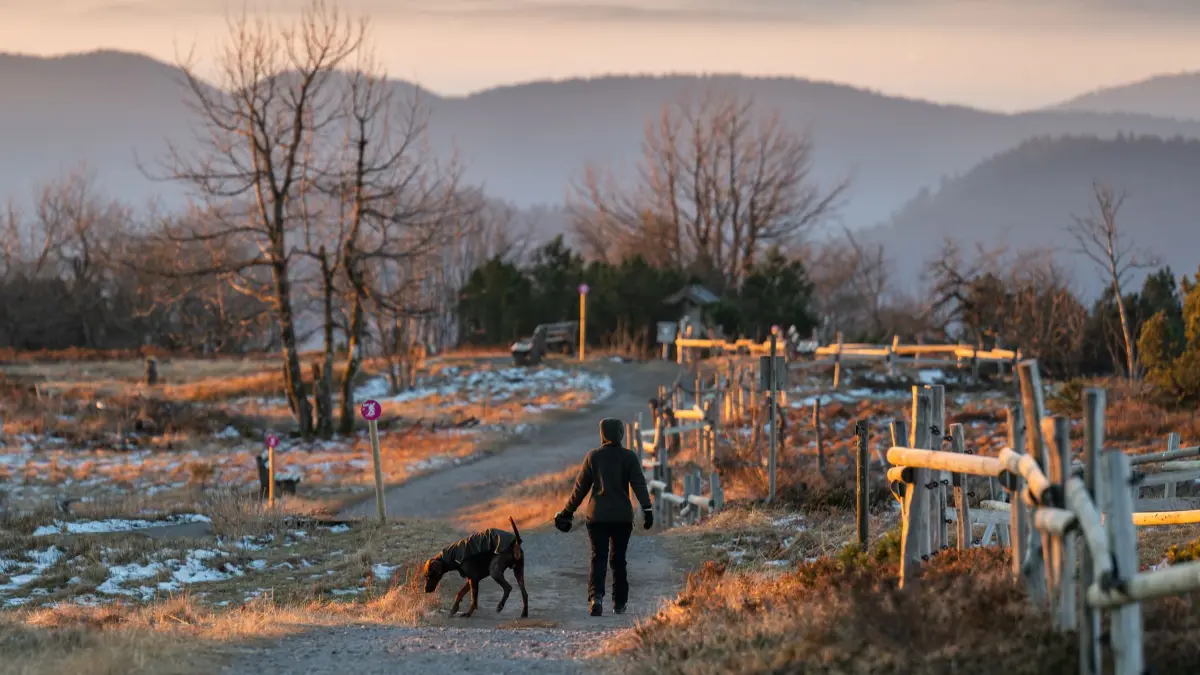 Wetter in Baden-Württemberg: 28.12.2025, Baden-Württemberg, Schliffkopf: Eine Frau geht bei Sonnenaufgang auf dem Schliffkopf im Nationalpark Schwarzwald mit ihrem Hund spazieren. Foto: Silas Stein/dpa +++ dpa-Bildfunk +++