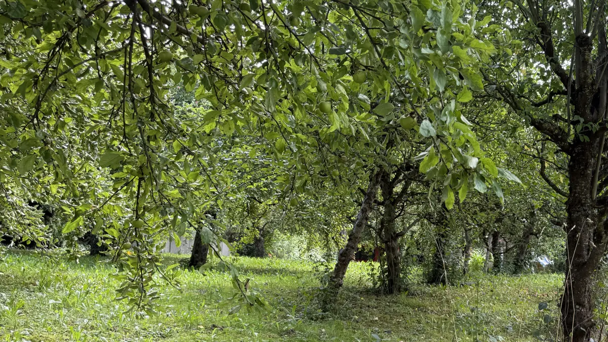 Von der Tübinger Straße her kaum einsehbar liegt dieses Freizeitgrundstück, das zum Werkeln im Freien einlädt.
