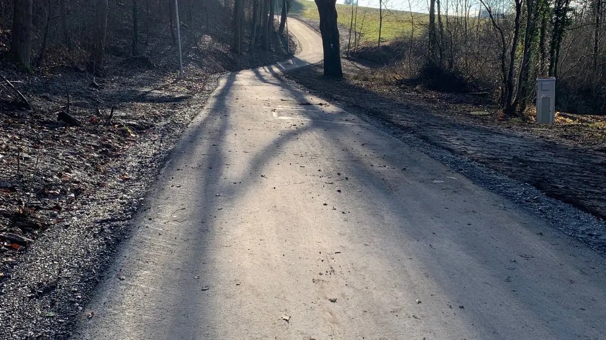 Freie Fahrt für Radfahrer: Der neue Radweg im Gegenlicht.