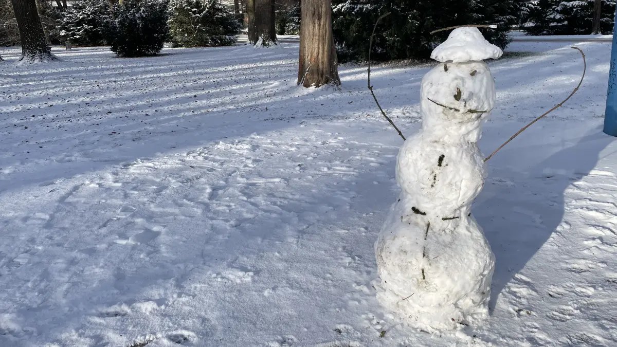 Schnee in Ulm am ersten Januarwochenende 2026