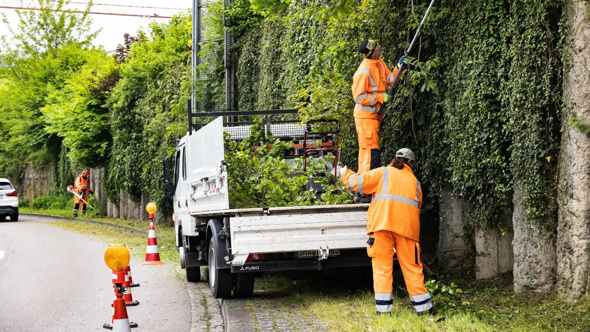 Stadtbetriebe Schwäbisch Hall - Eigenbetrieb Werkhof: Mitarbeiter des Werkhofs schneiden am Hirschgraben entlang der Straße das Grün zurück