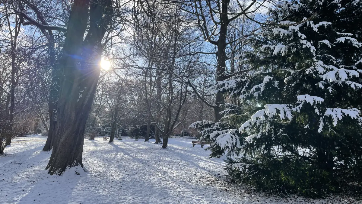 Schnee in Ulm am ersten Januarwochenende 2026