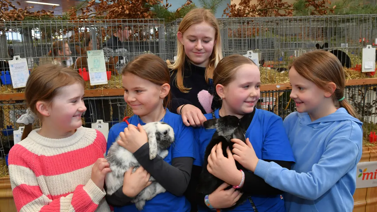 Jana und Leni (beide Mitte) gehören zum Nachwuchs der Allmendinger Kleintierzüchter. Sie zeigen drei Freundinnen ihre Hasen.